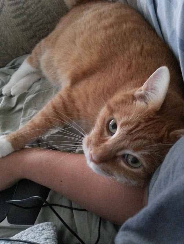 KWR: what will you miss?