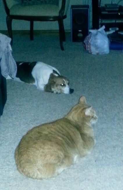 NWR Happy Fursday!!!