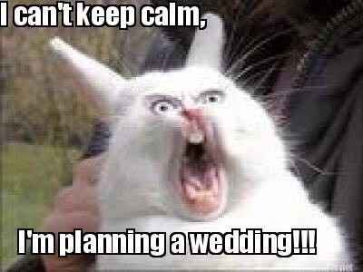 When your bridesmaids act a fool