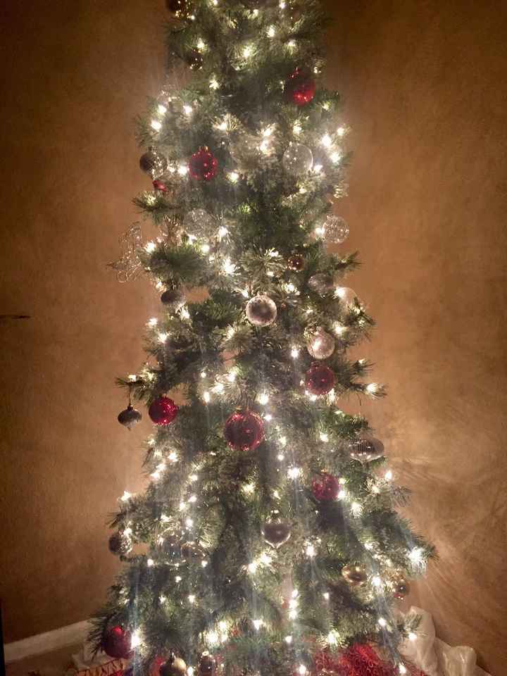 NWR: Christmas Tree