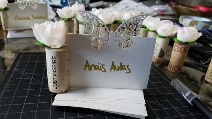 Who else is going to diy items for your wedding/reception? - 1