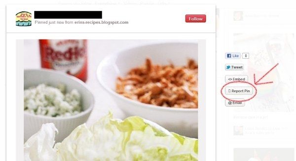 NWR - Pinterest Users