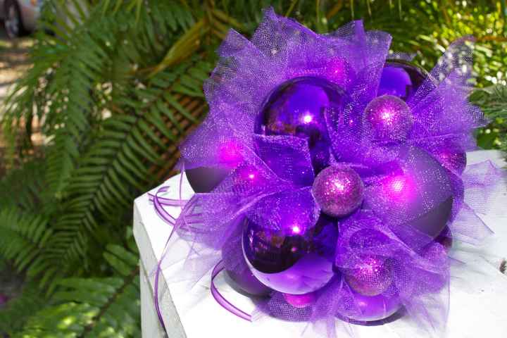 Christmas wedding Ideas