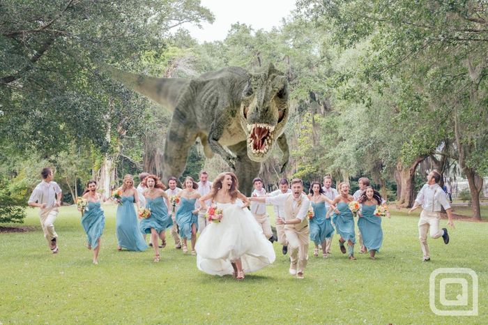 I'm having a wedding at a park