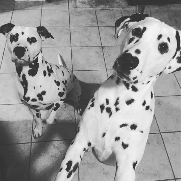 NWR: post pics of your pets!!