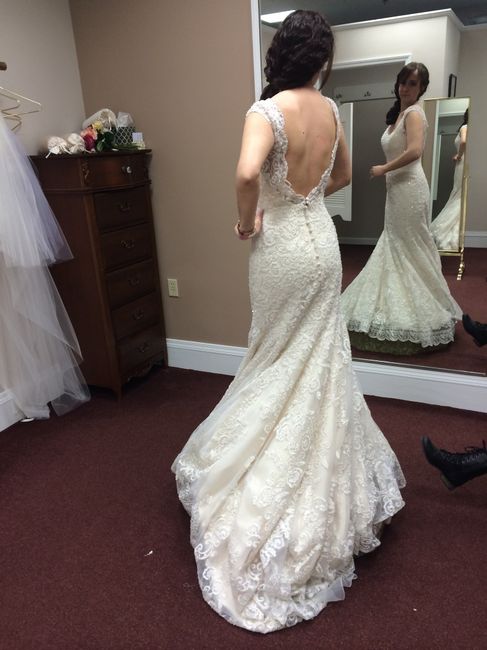 Wedding Dress size question
