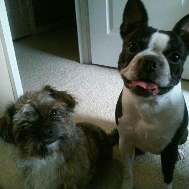 NWR: Show me your pups!