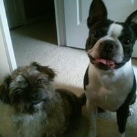 NWR: Show me your pups!