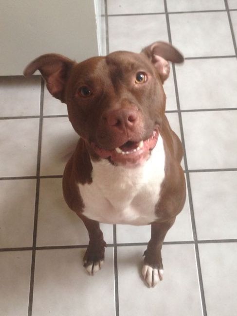 NWR: National Dog Day!