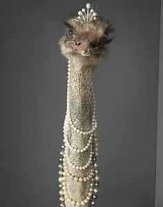 How should I style my hair for my wedding?