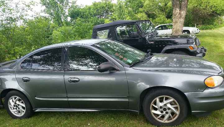 Dye My Wedding Dress... - 1