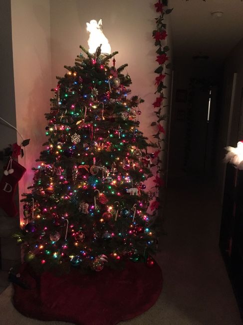 NWR: Christmas Tree