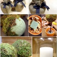 Alternative reception activities - 7