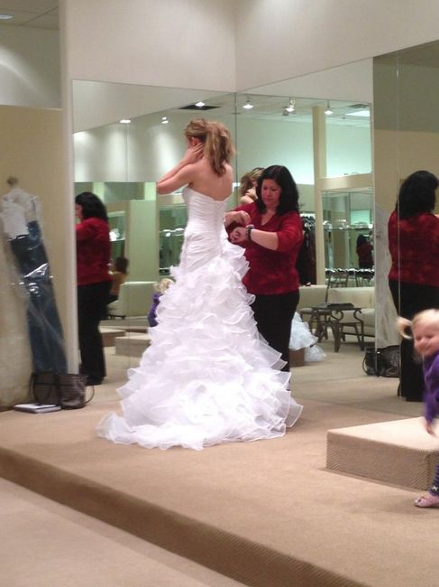 My Dress!! But need opinions...