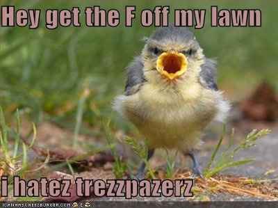 My dress is finally in.... (pics)