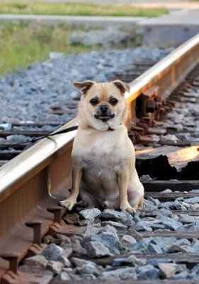 Adopted our 1st baby! (PICS)