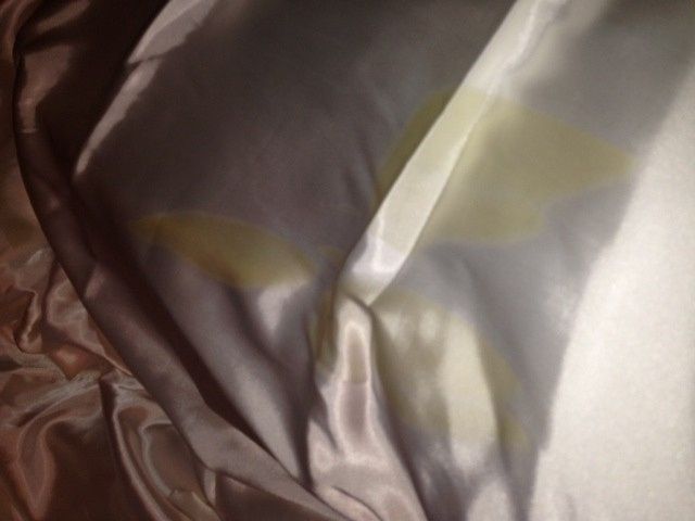 Stain on my Dress