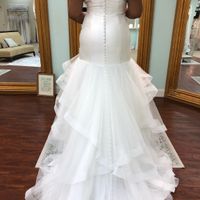 Weight loss after purchasing dress - 2