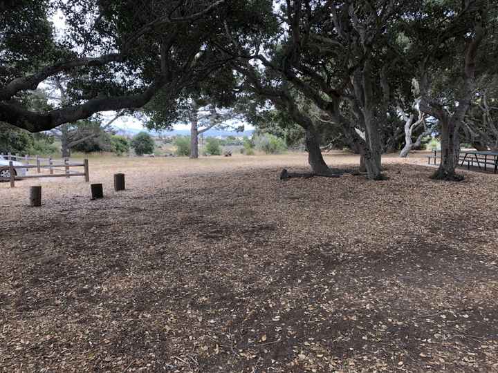 Overwhelmed with planning - 3