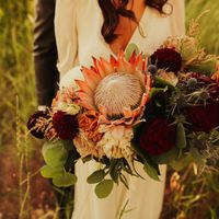 Utah Wedding Pro-bam (lots of pics!) - 1