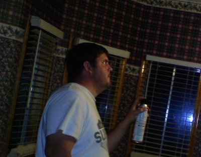 OMG Killer Bees... Have any of you....? ***UPDATE***