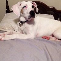 Holy Balls. Late Intro.