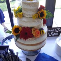 Non pro bam 11/25/18 - 7