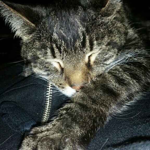 Technically I'm a mom too! Lol