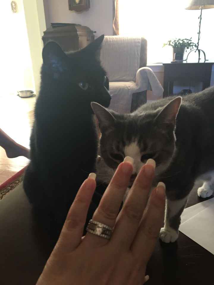 Ring post! Bonus if there’s fur babies involved! - 1