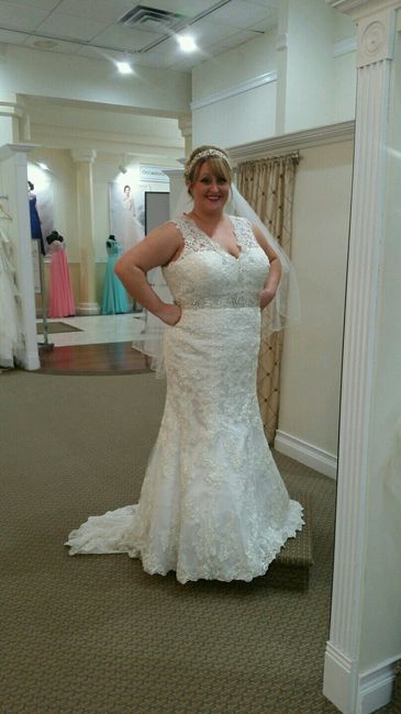 Plus Size Brides , share your dress !