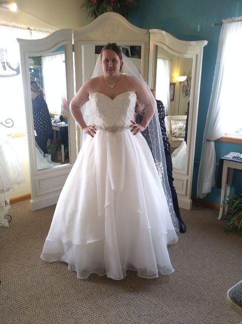 My dress finally arrived after months of waiting! Show me yours 6