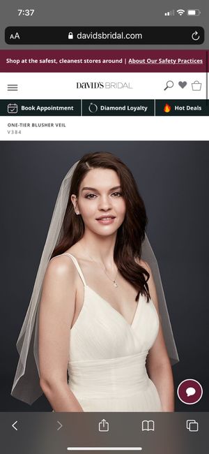 Veil Types - What are you wearing? 8