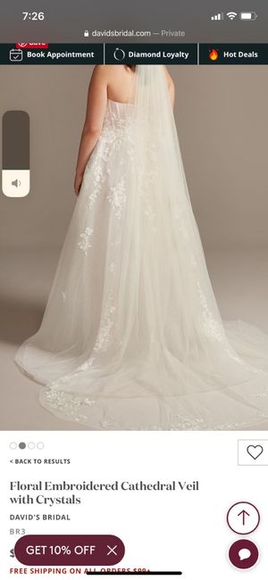 Veil Types - What are you wearing? 9