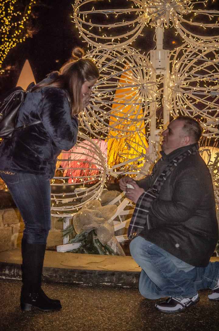 Proposal Photos - 2
