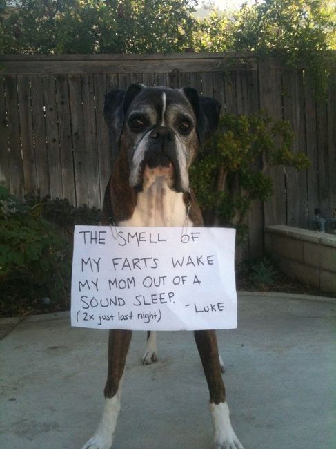 NWR:  Things to make you laugh... I needed a pick me up and in case I'm not alone