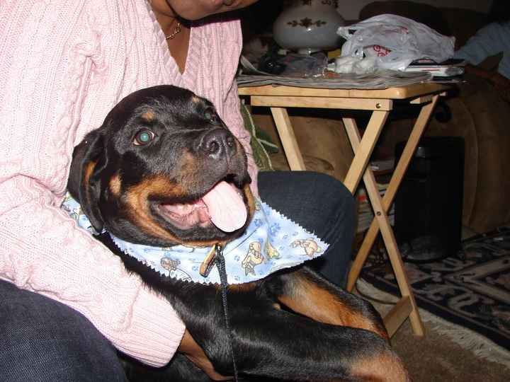 NWR.......FUR BABIES!!!!