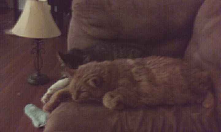 NWR:. Just wanted to share the Sunshine. Caution:Extreme cuteness enclosed.