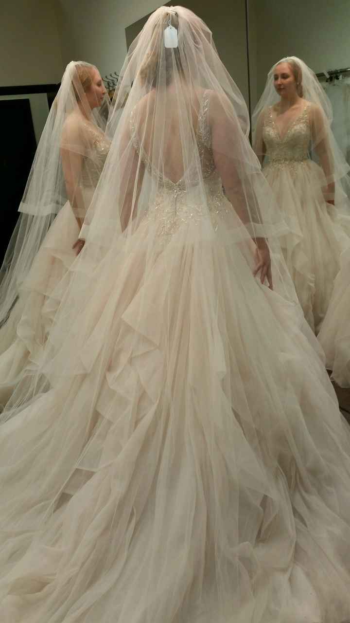 Horsehair Trim Veils !