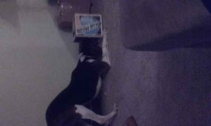 Mid Afternoon Pick Me Up