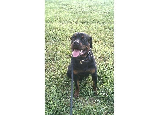 NWR: Lets See Your Fur Babies!