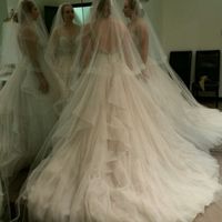 Horsehair Trim Veils !