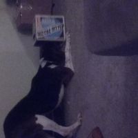 Mid Afternoon Pick Me Up