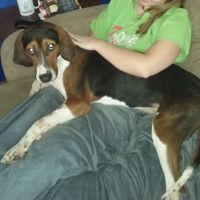 Mid Afternoon Pick Me Up