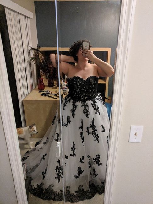 My dress rollercoaster - 5