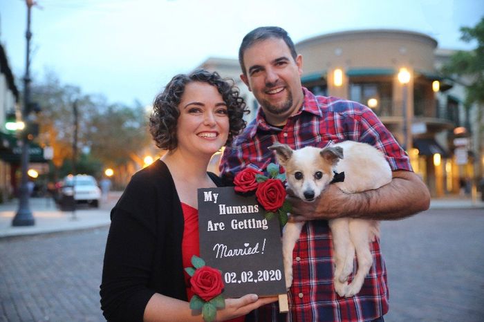 Engagement Photos 19