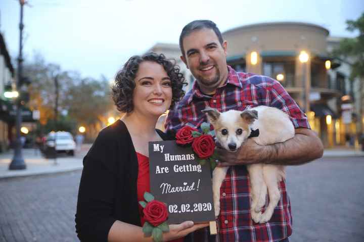 engagement pics - show me your favorite picture - 9