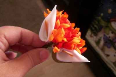 Got all my flowers done! *pics*