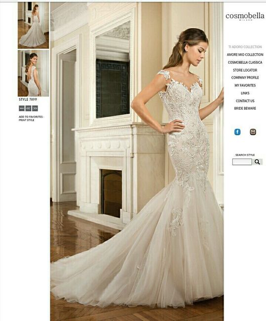 Wedding Dress Surprises??? - 1