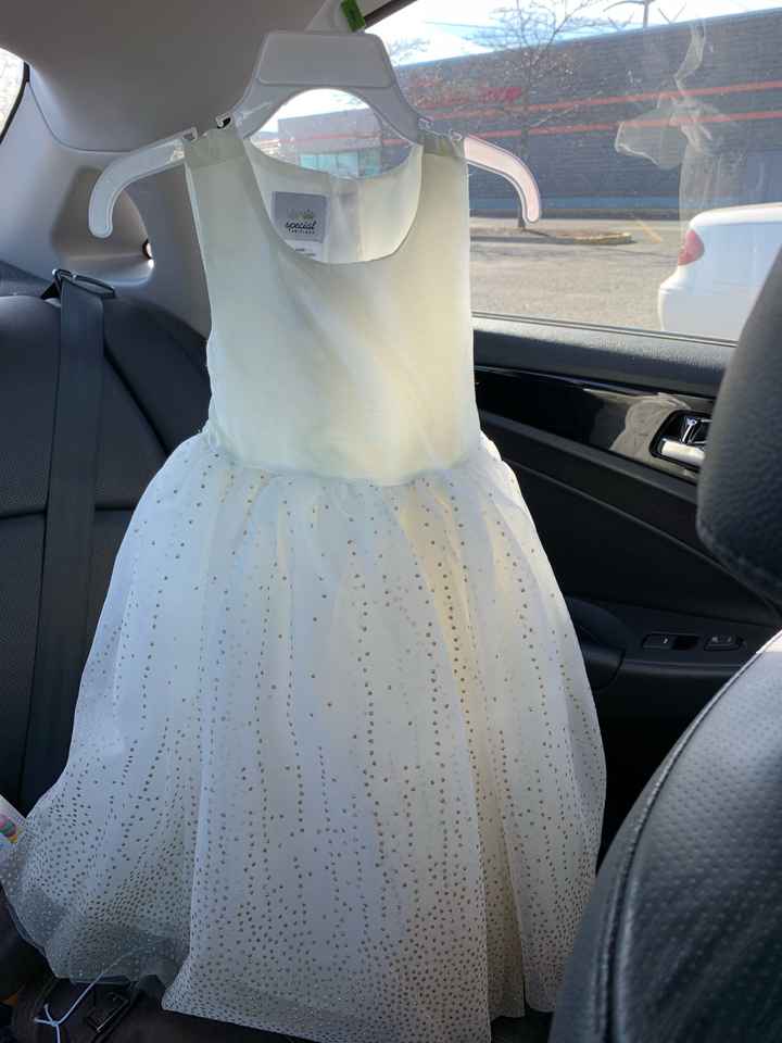 6 months until the wedding...need help finding flower girl dresses!! - 1