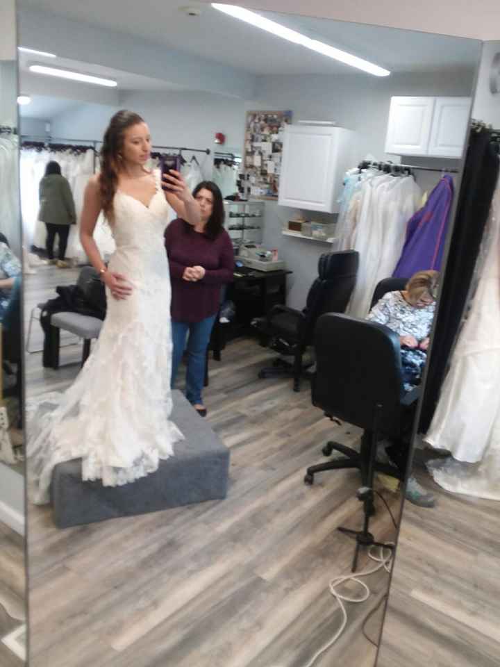 Ivory over Almond Dress - 1